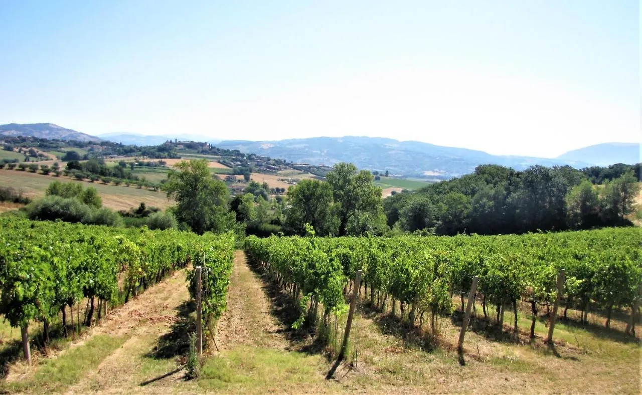 Appartamento Casa con vista spettacolare! Perugia
